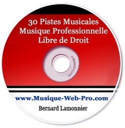 30 Pistes Musicales Libre de Ddroit.jpg