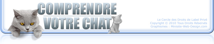 Comprendre votre chat